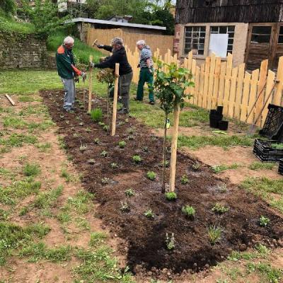 Anpflanzung Mittelmühle 30.04.2022