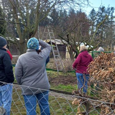 Obstbaumschnittkurs 2022