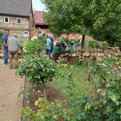 Img 20230817 Wa00261