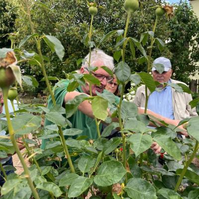 Img 20230817 Wa00301