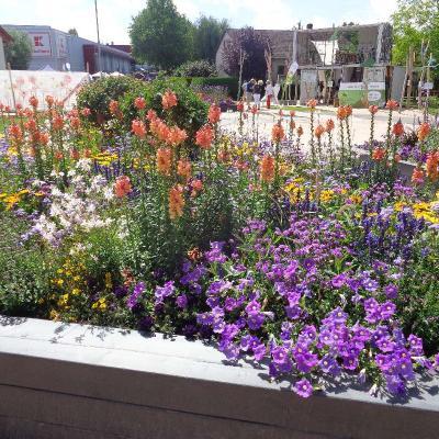 2022 Gartenschau Eppingen 