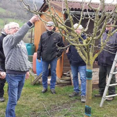 Obstbaumschnittkurs 07.03.2020