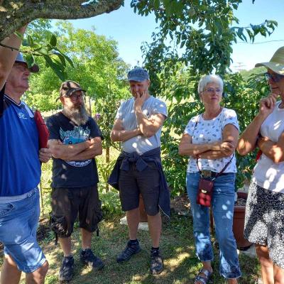 Img 20220716 Wa00521