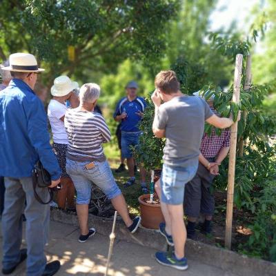 Img 20220716 Wa00551