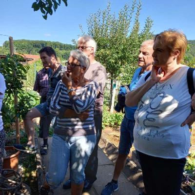 Schnittkurs Spalier - und Säulenobst 16.07.2022